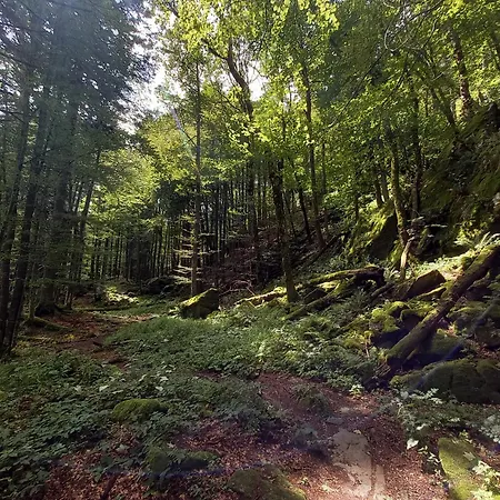 Maison Proche Du Centre De Colmar - Chez Michel * Horbourg