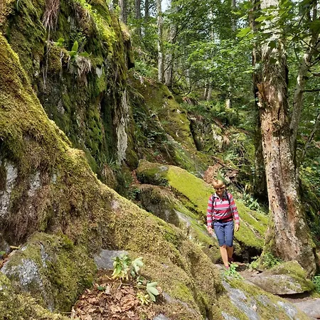 Casa de Férias Maison Proche Du Centre De Colmar - Chez Michel
