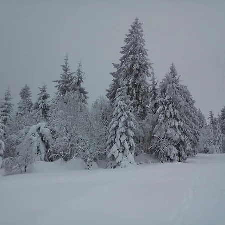 Maison Proche Du Centre De Colmar - Chez Michel *