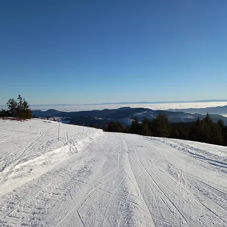 Maison Proche Du Centre De Colmar - Chez Michel Casa de Férias *