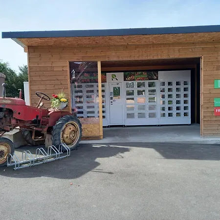 Maison Proche Du Centre De Colmar - Chez Michel