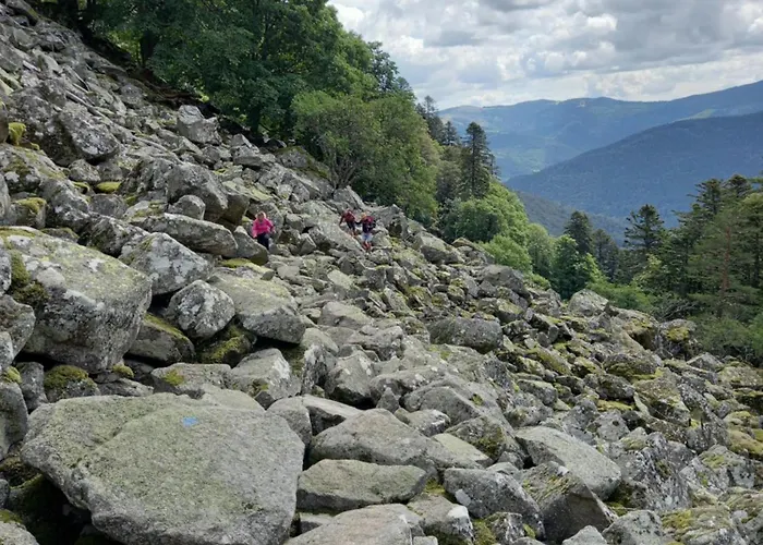펜션 Maison Proche Du Centre De Colmar - Chez Michel *