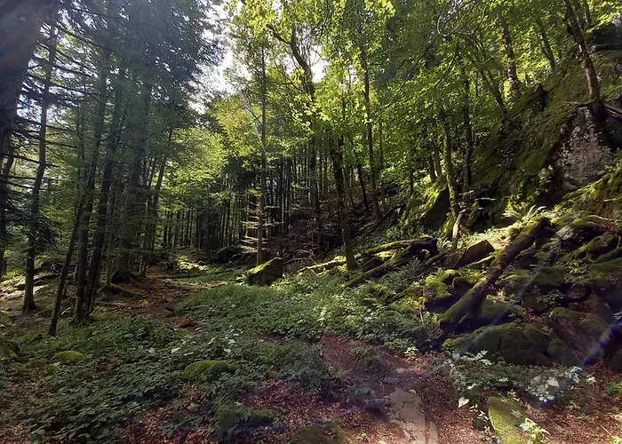 Maison Proche Du Centre De Colmar - Chez Michel * Horbourg