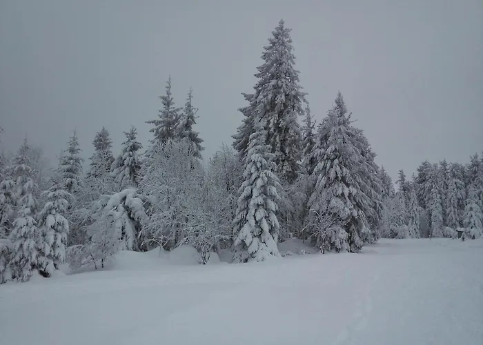 Maison Proche Du Centre De Colmar - Chez Michel *