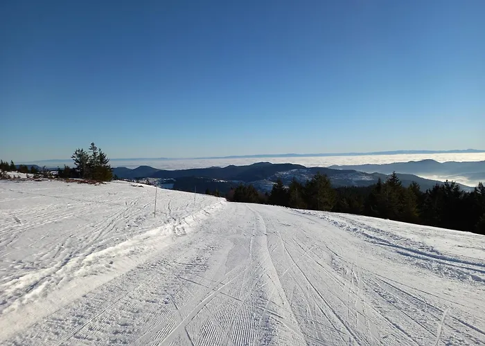 Maison Proche Du Centre De Colmar - Chez Michel 펜션 *