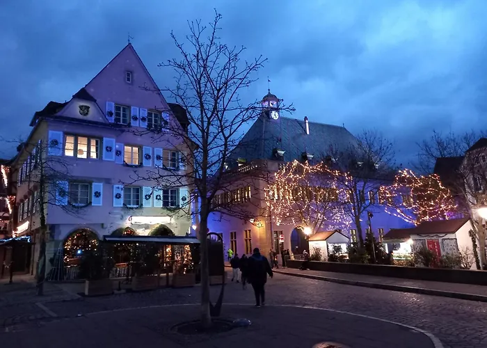 펜션 Maison Proche Du Centre De Colmar - Chez Michel