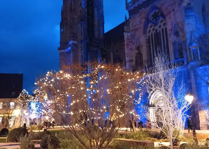 펜션 Maison Proche Du Centre De Colmar - Chez Michel Horbourg