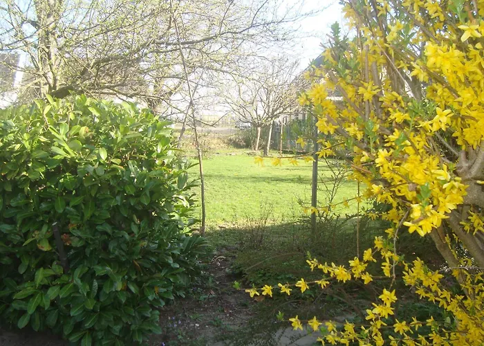 Maison Proche Du Centre De Colmar - Chez Michel Horbourg