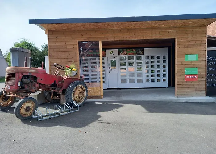 Maison Proche Du Centre De Colmar - Chez Michel